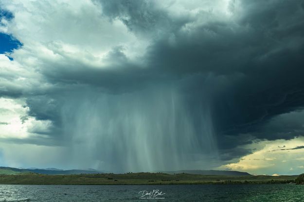 Beauty Of Mother Nature-June 11. Photo by Dave Bell.