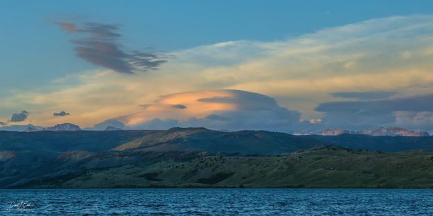 Wind Blown-June 11. Photo by Dave Bell.