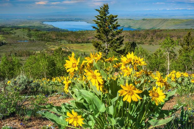Beautiful View-June 11. Photo by Dave Bell.