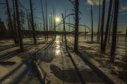 Early Morning At The Lower Geyser Basin. Photo by Dave Bell.