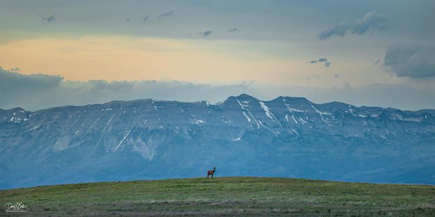 High and Lonesome. Photo by Dave Bell.