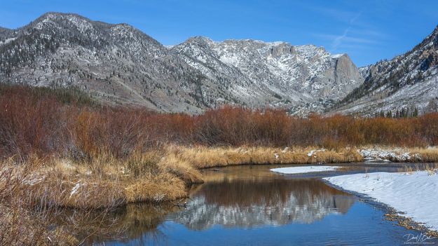 Reflections. Photo by Dave Bell.