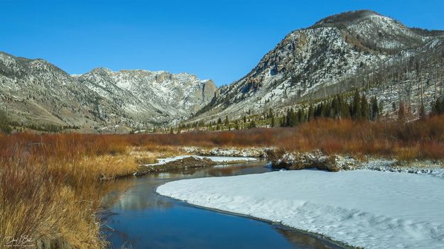 New Fork River Beauty. Photo by Dave Bell.