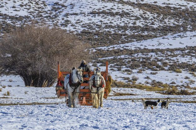 . Photo by Dave Bell.