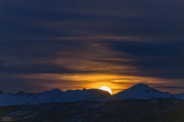 Popping Up. Photo by Dave Bell.