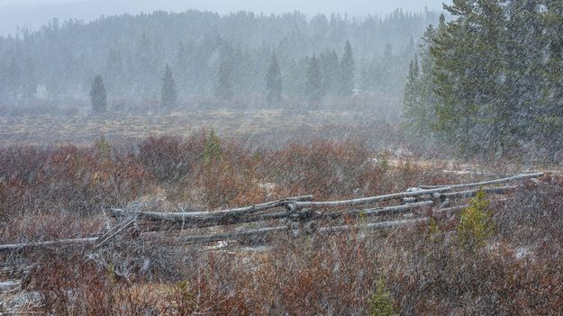 Elkhart Park Snow. Photo by Dave Bell.