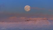 Moonrise Over Frigid Divide. Photo by Dave Bell.