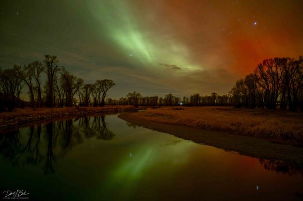 . Photo by Dave Bell.