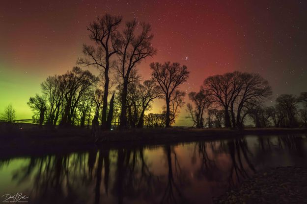 . Photo by Dave Bell.