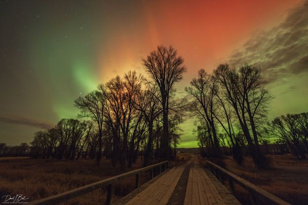 . Photo by Dave Bell.