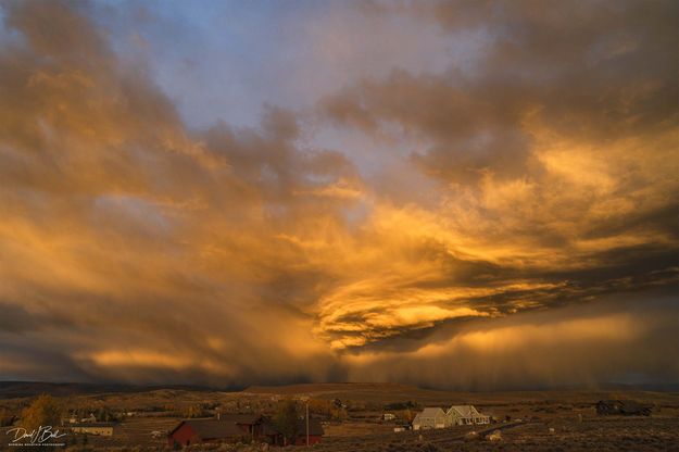 . Photo by Dave Bell.