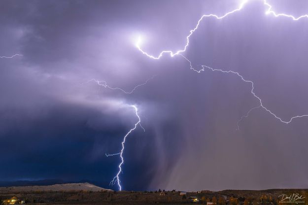 . Photo by Dave Bell.