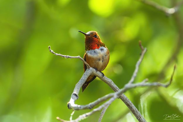 Turning. Photo by Dave Bell.