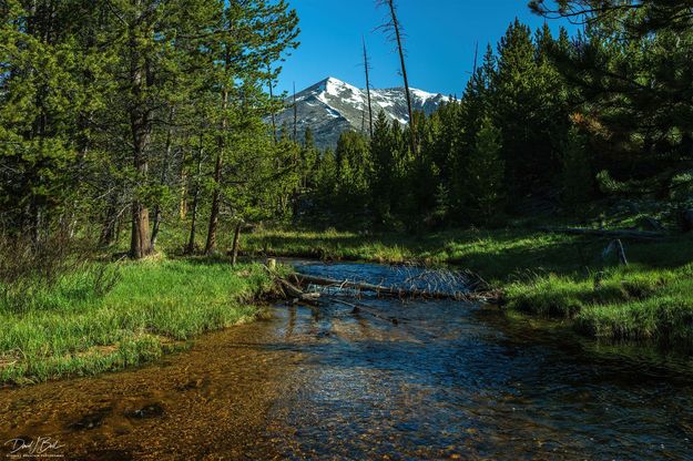 Larsen Creek. Photo by Dave Bell.