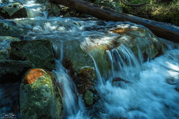 Beautiful Colors and Light. Photo by Dave Bell.