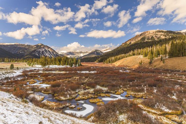 Incredible Beauty. Photo by Dave Bell.