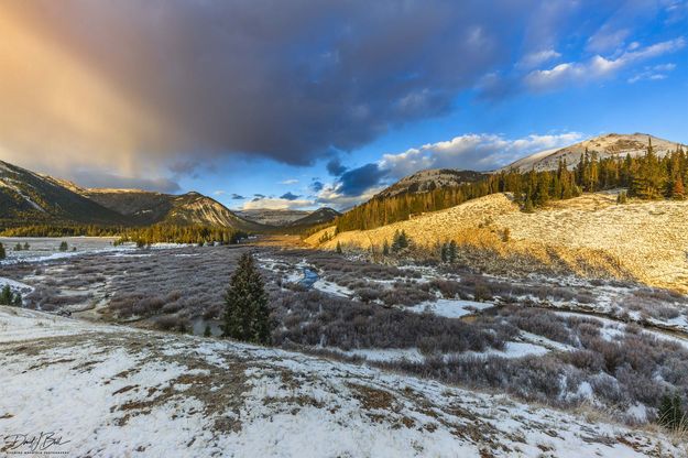 Cottonwood Valley Wide View. Photo by Dave Bell.