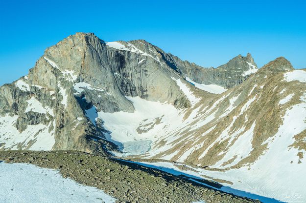 Lizard Head Face. Photo by Dave Bell.