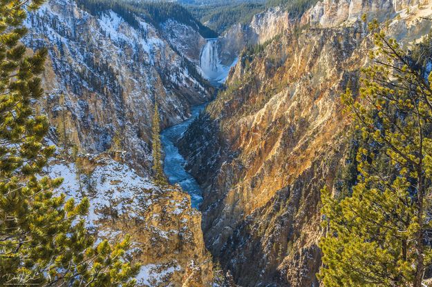 What A View. Photo by Dave Bell.