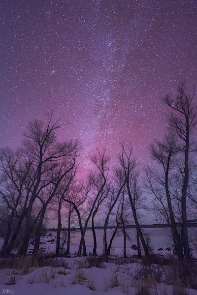 . Photo by Dave Bell.