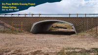 Dry Piney Wildlife Crossing Project complete